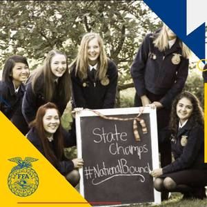 Meet your Posher, Katelyn